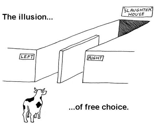 illusion-of-free-choice.jpg