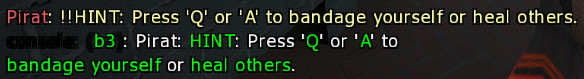 pirat-hint.png
